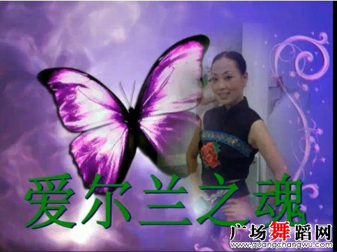 紫蝶广场舞爱尔兰之魂